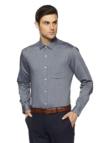 Arrow Plain Slim Fit Formal Shirt (Grey)